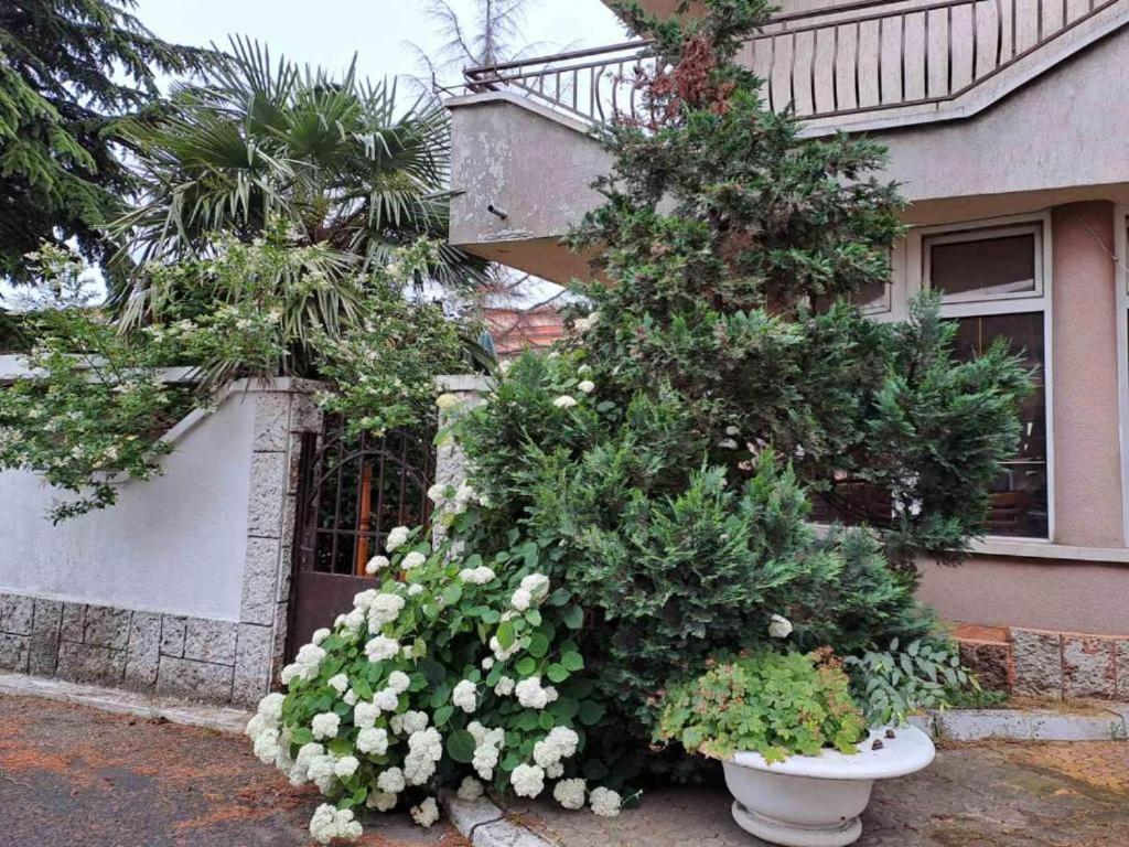Къща Косара Ахелой Aheloy Exterior foto